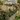 Updating Your Garden In Summer: Simple Ideas To Refresh Your Outdoor Space