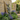 Horizontal timber garden wall trellis