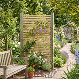 Garden wall trellis with climbing plants.